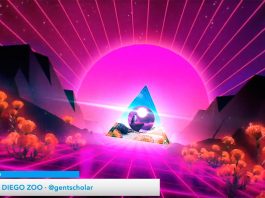 Siete tendencias de imágenes en movimiento que debes tener en cuenta en tus vídeos